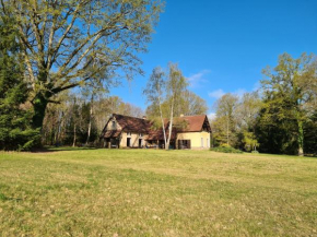 Maison isolée avec parc, étang privé et à 20 min du Zoo de Beauval - FR-1-591-309